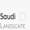 Saudi Landscape