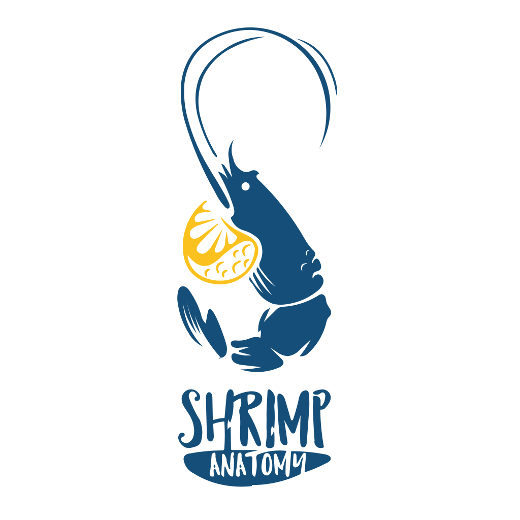 Shrimp Anatomy