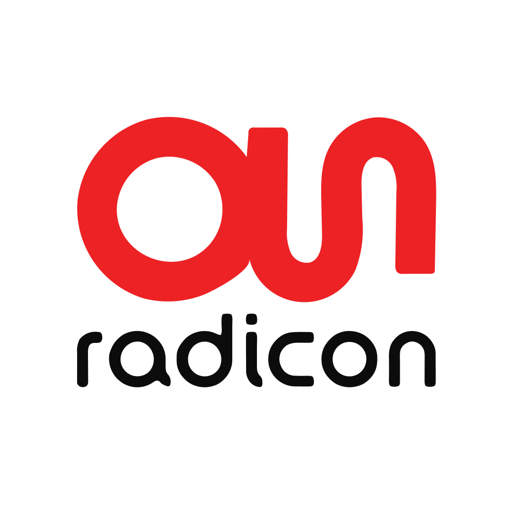 Assystem Radicon